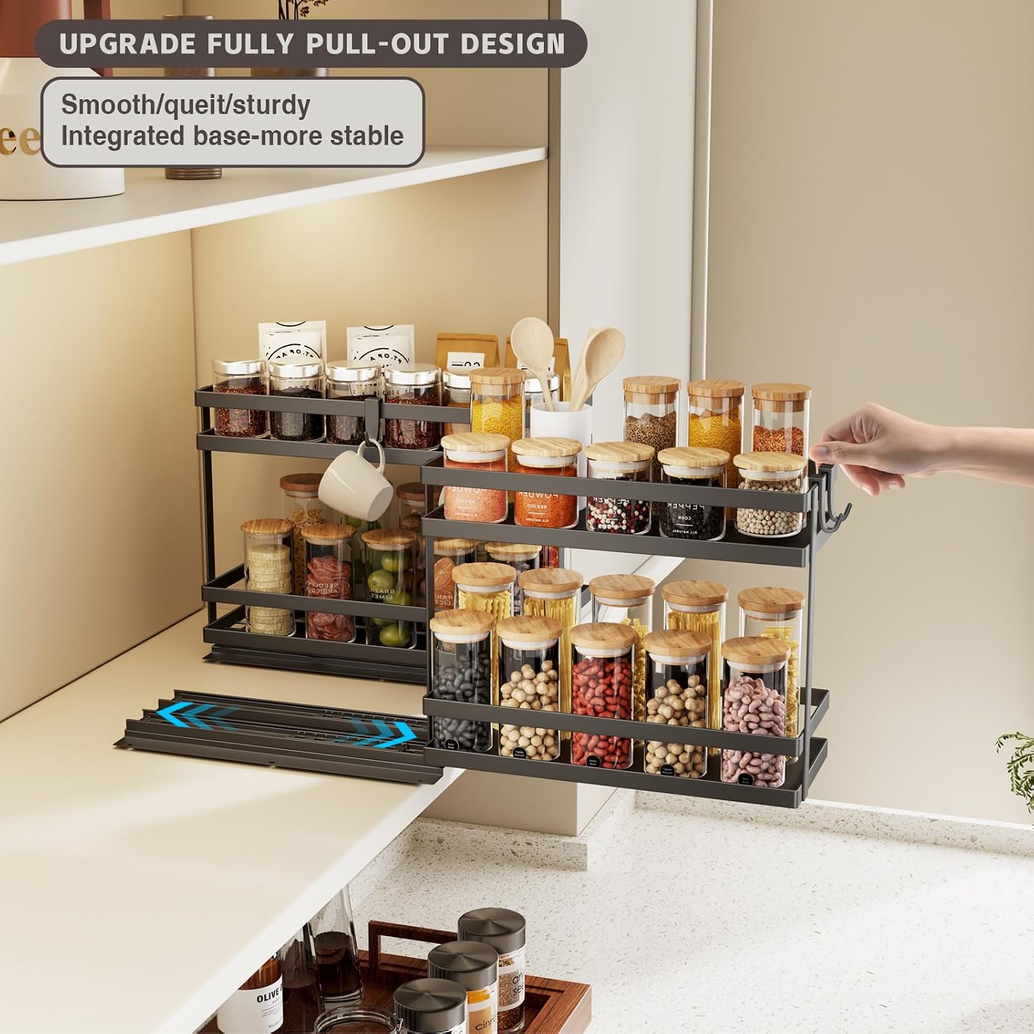 Pull Out Spice Rack Organizer